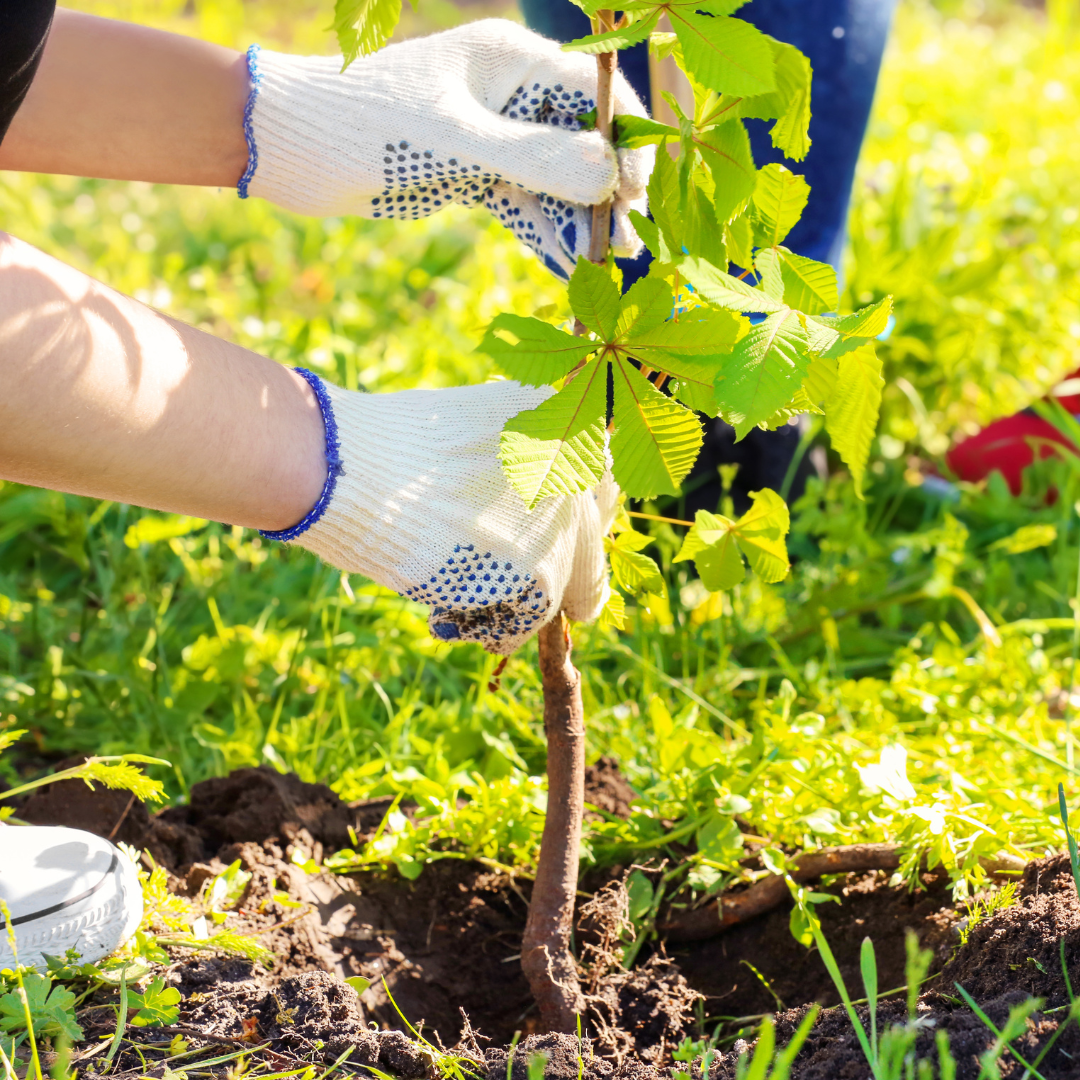 Creating Inclusive Volunteer Opportunities for a Diverse Workforce